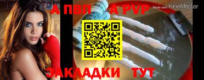 spice Кунгур