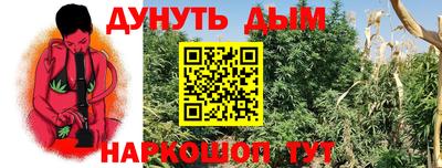 spice Кунгур